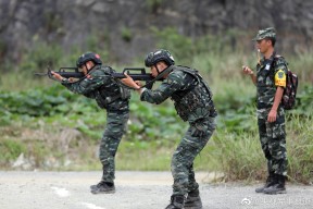 AYX-斯诺克半决赛，岭北铁骑队与瓯越海豚队强势反弹，体能对抗拉满！精神属性拉满(斯诺克威尔士公开赛2024决赛第二阶段)